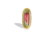 Load image into Gallery viewer, An absolute one-of-a-kind signet ring featuring our signature graduated granulation floating around a unique lozenge shaped watermelon colored tourmaline (3.96ct) set east-west for a modern twist. Look closely to see how the beautiful rich red spinel and tsavorite garnets (.33ct total) mimic the flow of the tourmaline's fresh, summertime colors. This stone is for a gem lover.

Made in recycled 22k yellow gold and platinum and a Brazilian tourmaline. Size 7.